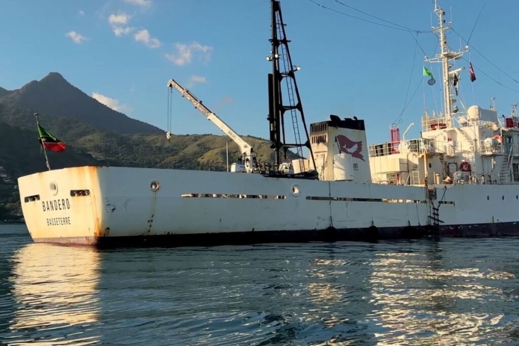 naviio