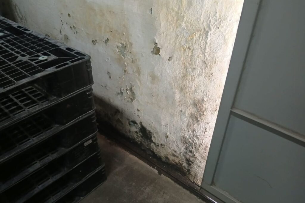 Forro caído e mofo: TCE revela irregularidades em farmácias públicas no Vale do Paraíba 9 Forro caído e mofo: TCE revela irregularidades em farmácias públicas no Vale do Paraíba em Câmara e Prefeitura