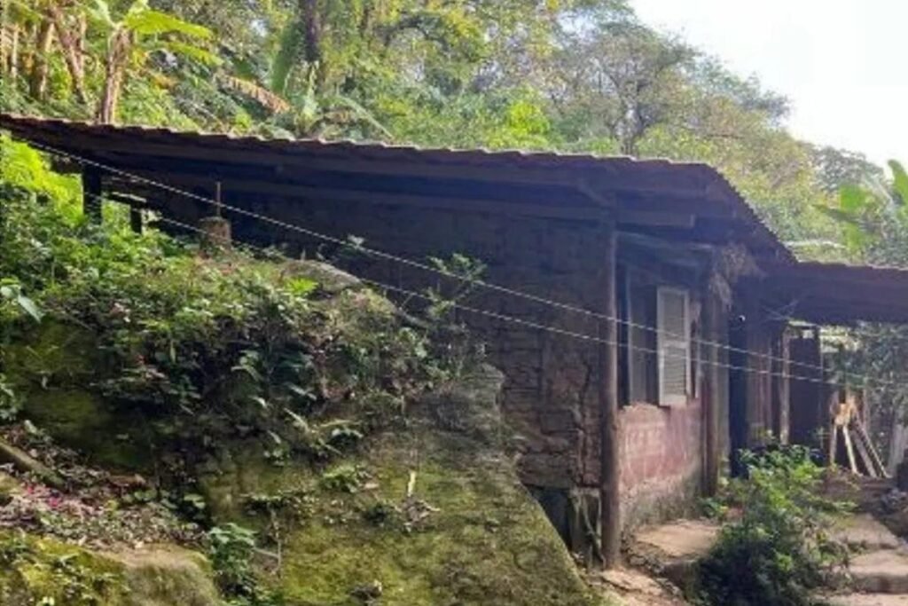 Tribunal do Júri absolve homem por matar o filho com machado em São Sebastião em Segurança